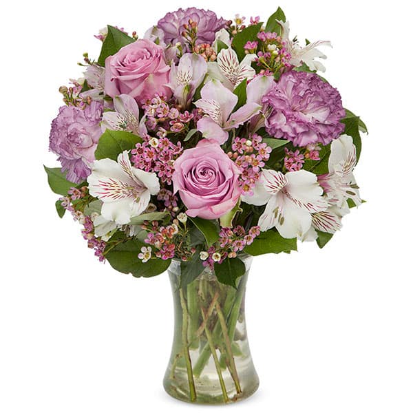 Lavender & White Brilliance